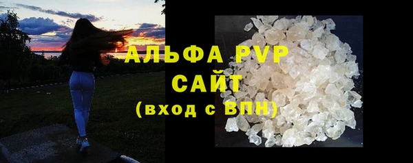 прущие крисы Надым