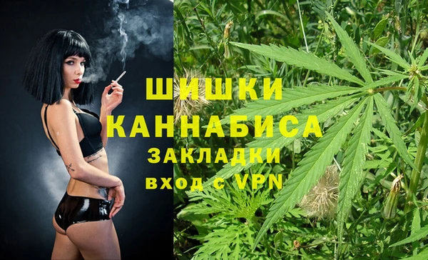 PSILOCYBIN Навашино