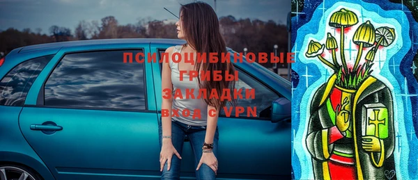 PSILOCYBIN Навашино