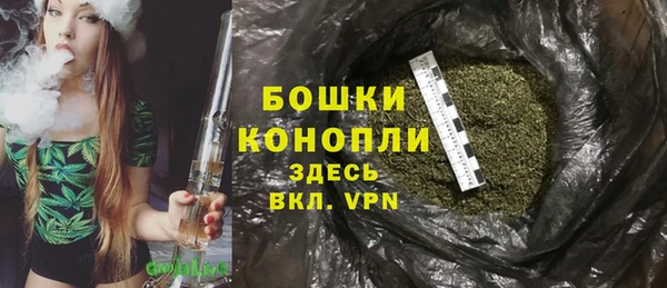 прущие крисы Надым