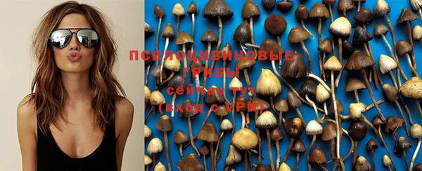 PSILOCYBIN Навашино
