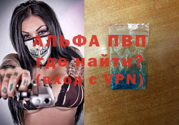 PSILOCYBIN Навашино