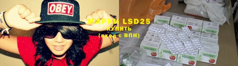 закладки  Полярные Зори  LSD-25 экстази ecstasy 